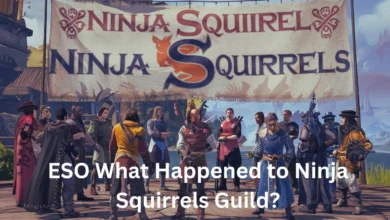 eso what happen to ninja squirrels guild