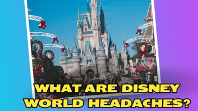 disney world headaches