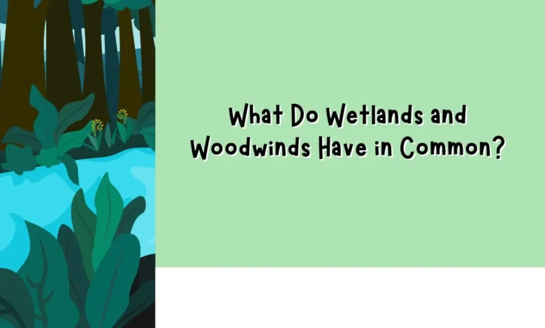 What Do Wetlands and Woodwinds Have in Common? - Digital nwiTimes