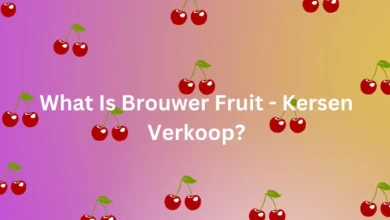 brouwer fruit - kersen verkoop